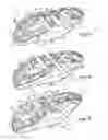 Fig. 04 - Footwear