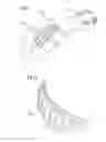 Fig. 02 - Sole