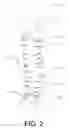 Fig. 03 - Leg sock for horses