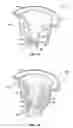 Fig. 22 - Liquid flow control and beverage preparation for a refrigerator