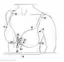 Fig. 01 - BRASSIERE HAVING REMOVABLE DISPLAY APPARATUS AND RELATED METHODS