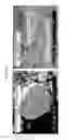 Fig. 06 - METHOD OF PRODUCING NITRIDE/TUNGSTEN NANOCOMPOSITE POWDER AND NITRIDE/TUNGSTEN NANOCOMPOSITE POWDER PRODUCED USING THE SAME