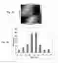 Fig. 04 - Household microwave-mediated carbohydrate-based production of silver nanomaterials