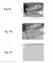 Fig. 05 - Household microwave-mediated carbohydrate-based production of silver nanomaterials