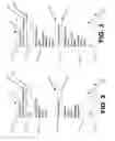 Fig. 06 - MULTI-LAYER LAMINATE MATERIAL