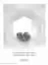 Fig. 06 - SOLUTIONS OF SILICON METAL AND METHODS OF MAKING AND USING SAME