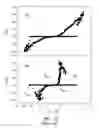 Fig. 09 - Cross-point cell nanoarray with anisotropic active organic layer