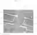 Fig. 06 - Interfering excitations in FQHE fluids