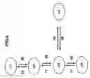 Fig. 07 - Electronic circuit device operable under power supply