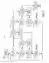 Fig. 06 - High resolution zoom: a novel digital zoom for digital video camera