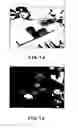 Fig. 11 - Image processing apparatus and method with color space conversion depending on environmental light and display of color differences in areas of the image