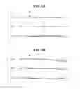 Fig. 09 - Imaging lens and image pickup apparatus including the same