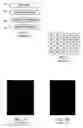 Fig. 02 - Elegant Solutions for Fingerprint Image Enhancement