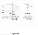 Fig. 19 - SYSTEM AND METHOD FOR DETERMINING ABSOLUTE POSITION USING A MULTIPLE WAVELENGTH SIGNAL