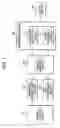Fig. 02 - Image processing device, image processing method, and computer readable medium for judging if images are matched