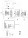 Fig. 02 - Multiple step identification of recordings