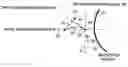Fig. 01 - Metering skive for a developer roller