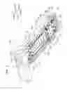 Fig. 04 - Image forming apparatus
