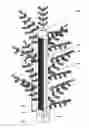 Fig. 02 - Artificial Tree and Vertical Axis Wind Turbine Combination
