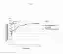 Fig. 02 - METHOD AND COMPOSITION FOR BIOACTIVE AGENT RELEASE IN VIVO