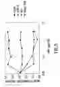Fig. 06 - Methods for augmenting an immune response using anti-CD40 antibodies