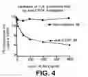 Fig. 06 - CONNECTIVE TISSUE GROWTH FACTOR FRAGMENTS AND METHODS AND USES THEREOF