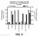 Fig. 07 - CONNECTIVE TISSUE GROWTH FACTOR FRAGMENTS AND METHODS AND USES THEREOF