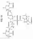 Fig. 14 - Stable polypeptide formulations