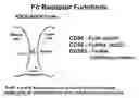 Fig. 01 - Variant target binding agents and uses thereof