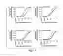 Fig. 20 - Anti-Interferon Gamma Antibodies and Methods of Use Thereof