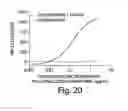 Fig. 23 - Anti-Interferon Gamma Antibodies and Methods of Use Thereof