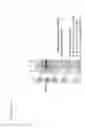 Fig. 07 - Mutant forms of streptolysin O