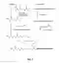 Fig. 02 - Methods for conjugation of oligosaccharides or polysaccharides to protein carriers through oxime linkages via 3-deoxy-D-manno-octulsonic acid