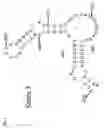 Fig. 02 - Genetically stable attenuated polioviruses comprising multiple mutations in domain V of the 5′ noncoding region