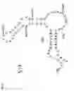 Fig. 07 - Genetically stable attenuated polioviruses comprising multiple mutations in domain V of the 5′ noncoding region