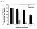 Fig. 08 - Permissive cells and uses thereof