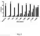 Fig. 06 - Adaptive mutations allow establishment of JFH1-based cell culture systems for hepatitis C virus genotype 4A