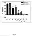Fig. 09 - Adaptive mutations allow establishment of JFH1-based cell culture systems for hepatitis C virus genotype 4A