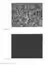 Fig. 06 - Collagen/hydroxyapatite composite scaffold, and process for the production thereof