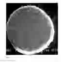 Fig. 07 - Collagen/hydroxyapatite composite scaffold, and process for the production thereof