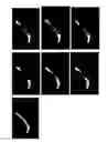 Fig. 22 - Collagen/hydroxyapatite composite scaffold, and process for the production thereof