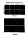 Fig. 06 - Progenitor cells from urine and methods for using the same
