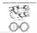 Fig. 01 - METHOD FOR INCREASING THE PERMEABILITY OF POLYMER FILM