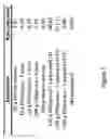 Fig. 02 - Porous structures of microbial-derived cellulose for in  vivo implantation