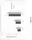 Fig. 03 - Porous structures of microbial-derived cellulose for in  vivo implantation