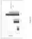 Fig. 04 - Porous structures of microbial-derived cellulose for in  vivo implantation