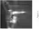 Fig. 12 - Porous structures of microbial-derived cellulose for in  vivo implantation
