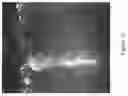 Fig. 13 - Porous structures of microbial-derived cellulose for in  vivo implantation