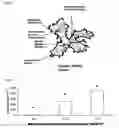Fig. 04 - Polymeric micellar clusters and their uses in formulating drugs