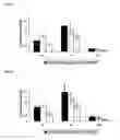 Fig. 07 - Polymeric micellar clusters and their uses in formulating drugs